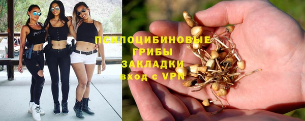 первитин Володарск